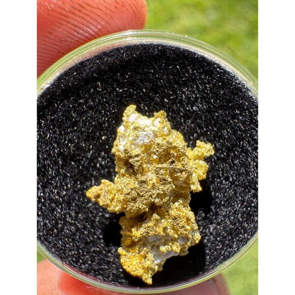 California Native Gold Crystal - 1.86 grams - Picture 4 of 7